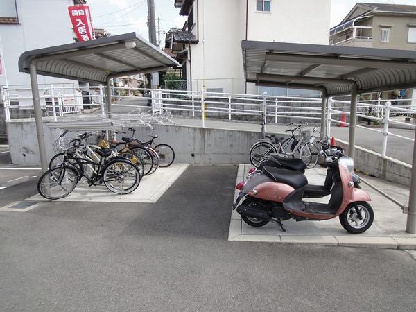 メゾン　ド　コスモス