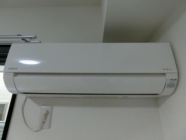 ステラウッド家の森