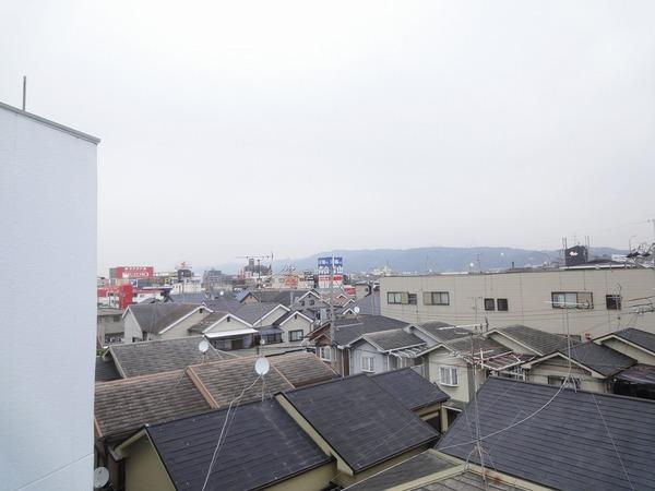ウィステリア