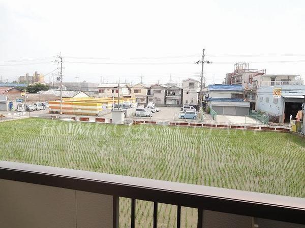 アムール　エステート