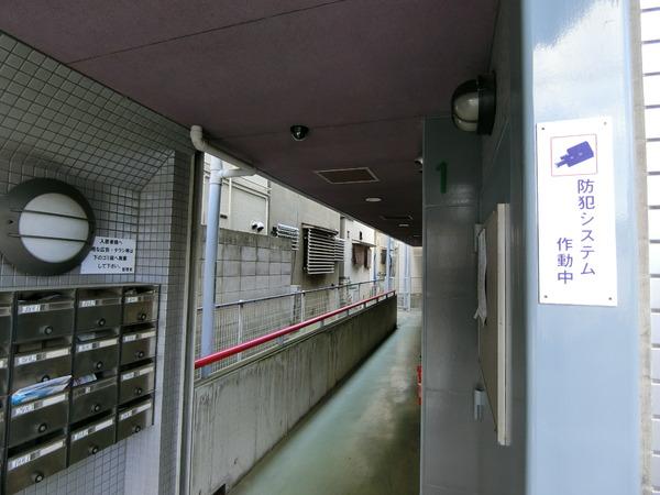 藤井寺市藤井寺２丁目のハイツ