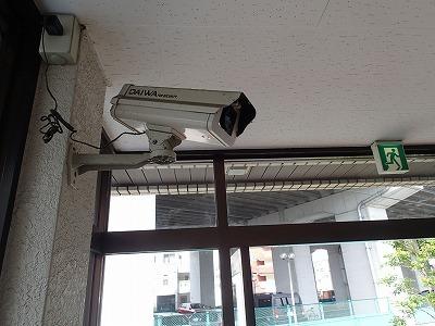 グローバル伸和