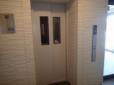 セイワコートプレミアム
