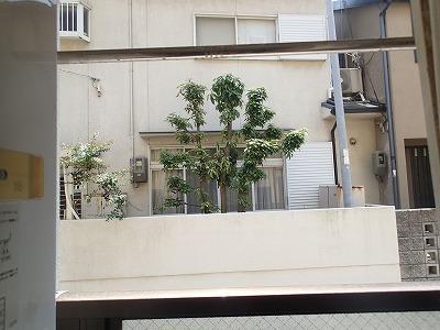 松原市上田５丁目のマンション