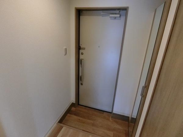 ステラキャットクローバー