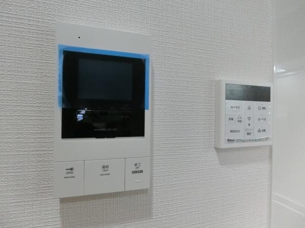 ステラキャットクローバー