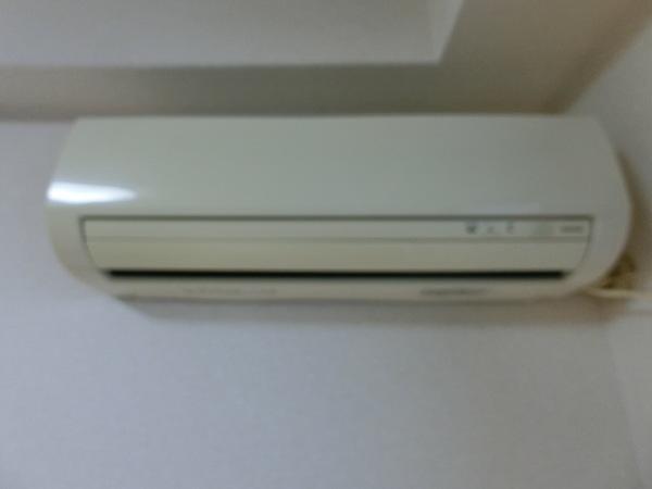 PLUS-01