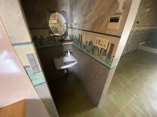 藤井寺市沢田4丁目の店舗(一戸建)(洗面台・洗面所)