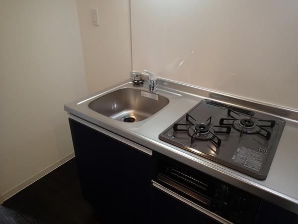 藤井寺市道明寺1丁目のハイツ(その他)