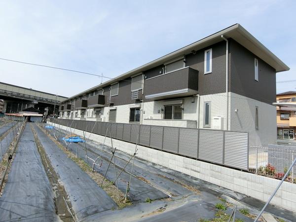 コンフォール　ドミ