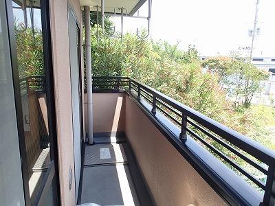 サンライズ・フジ