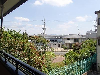 サンライズ・フジ