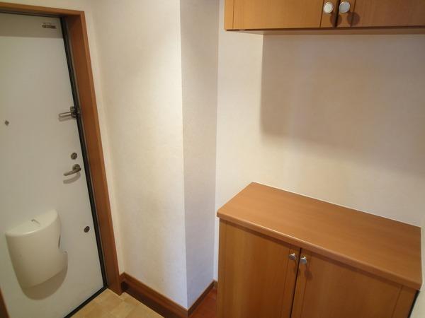 藤井寺市藤井寺3丁目のハイツ(玄関)