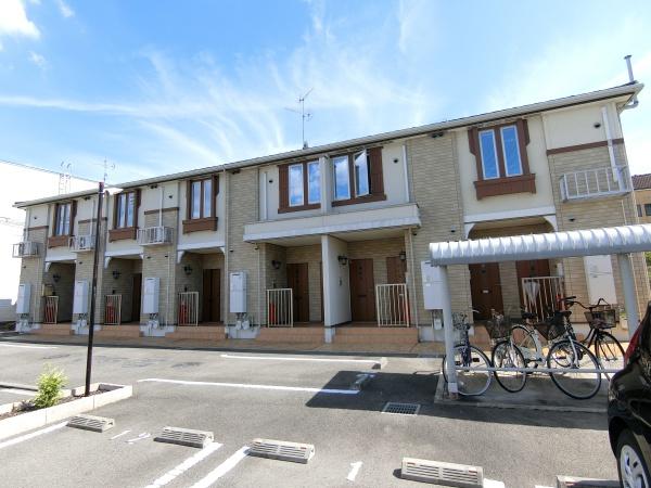 パイン・ツリー