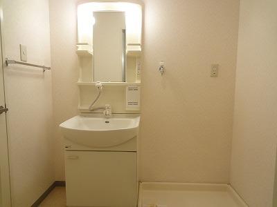 藤井寺市岡2丁目のマンション(洗面台・洗面所)