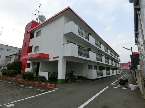 ステラマリス伸和