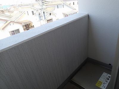 セレノ　アロッジオ　VII