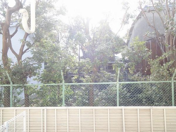 松原市天美北７丁目のハイツ