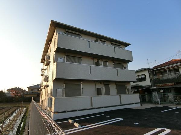 セレナイト