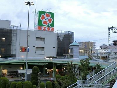 柏原市旭ケ丘３丁目のハイツ(ライフ国分店)