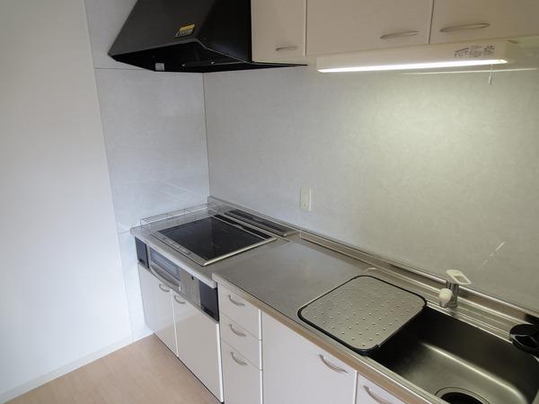 羽曳野市軽里１丁目のマンション
