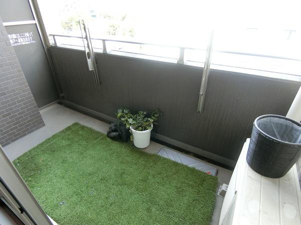 KAISEI四天王寺