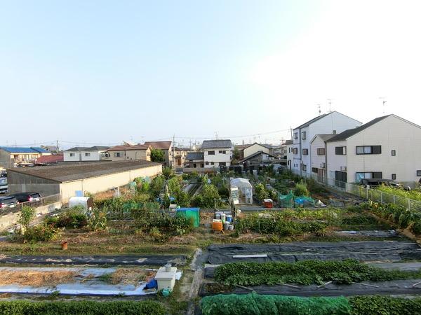 松原市一津屋４丁目のハイツ