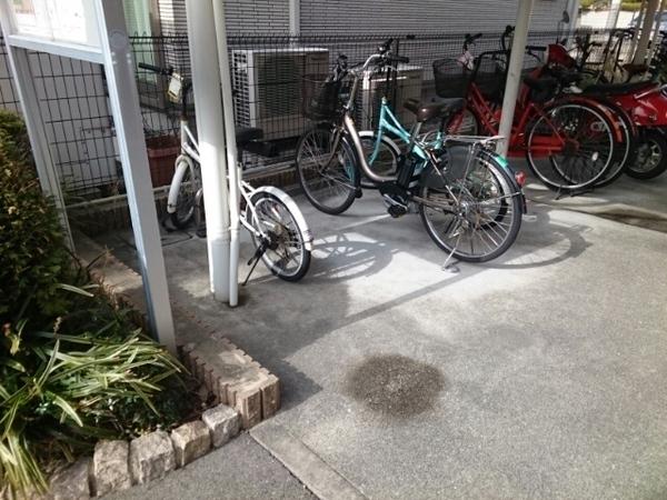 セレノ　アロッジオII
