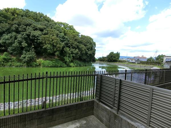 レイクヒルズC棟(現地からの眺望)