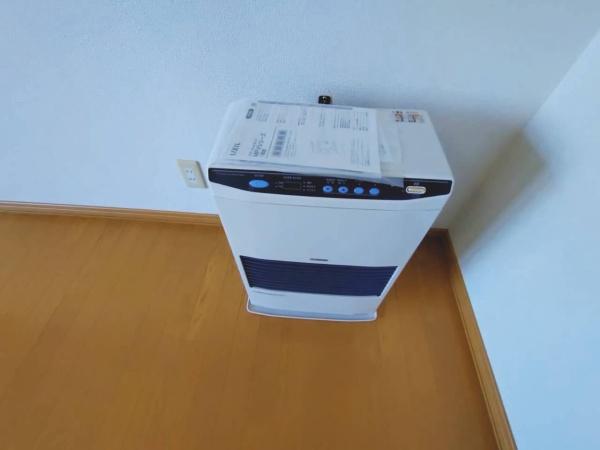 パンプキン発寒