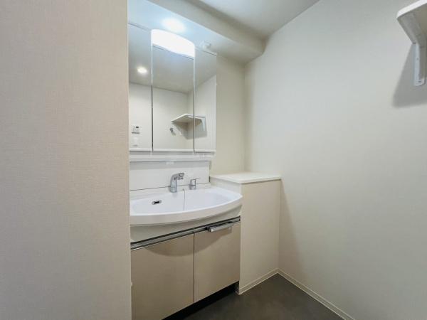 大阪市城東区東中浜9丁目のマンション(洗面台・洗面所)