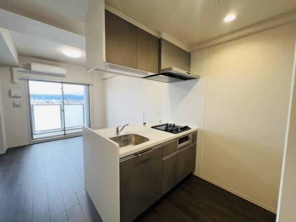 大阪市城東区東中浜9丁目のマンション(キッチン)