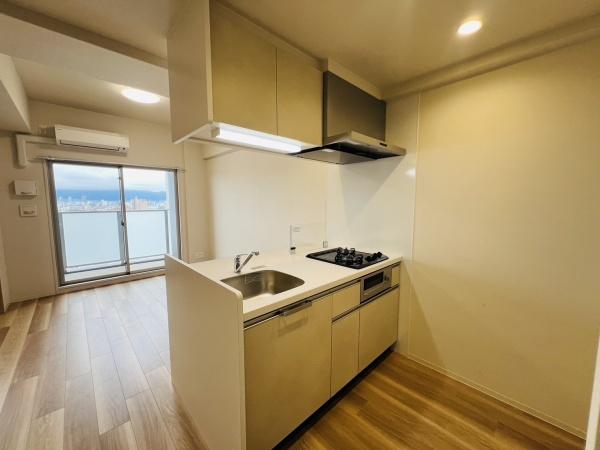 大阪市城東区東中浜9丁目のマンション(キッチン)