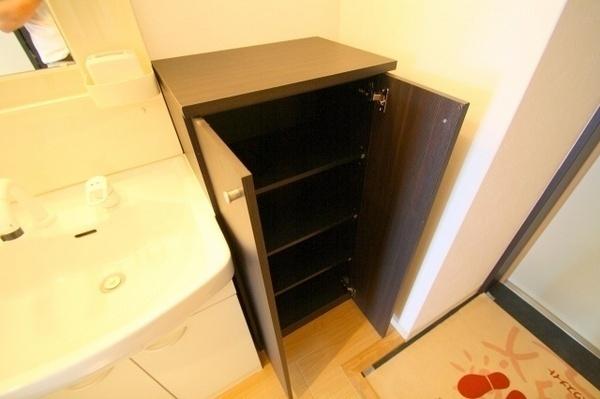 大阪市城東区野江2丁目のマンション(収納)