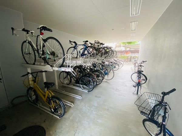 プリムローズ　アヴェニュー