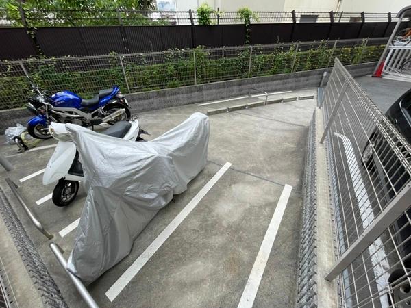 プリムローズ　アヴェニュー