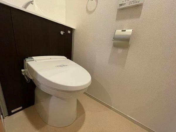 プリムローズ　アヴェニュー