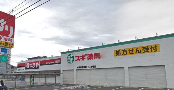 ソルテラスOSAKAJO　EST(スギ薬局城東東中浜店)