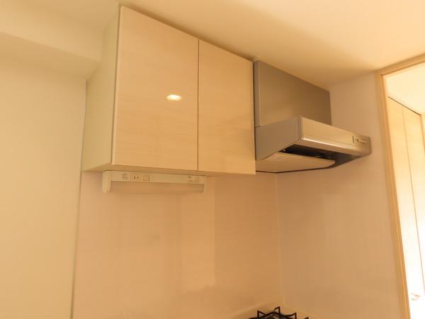 レジュールアッシュ　ザ・パークフロント