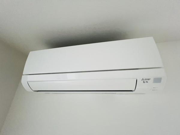 エス．フィールド奏