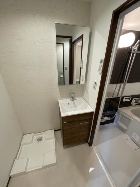 鎌ケ谷市丸山3丁目のマンション(洗面台・洗面所)