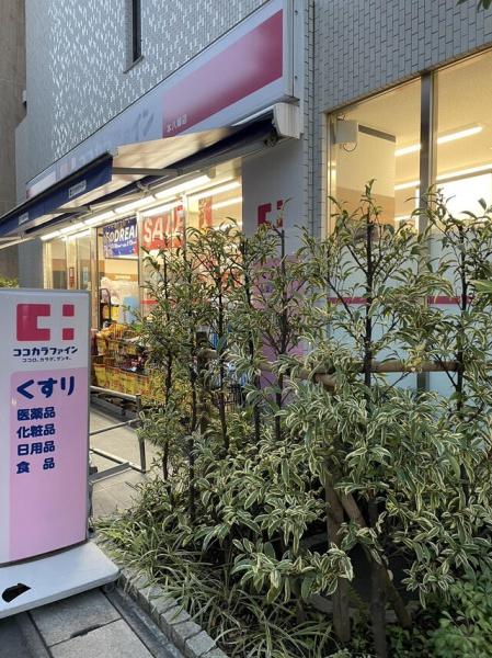 ダイヤマンション(ココカラファイン本八幡店)