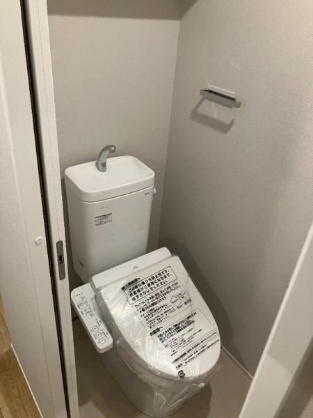 コンフォートグリーン