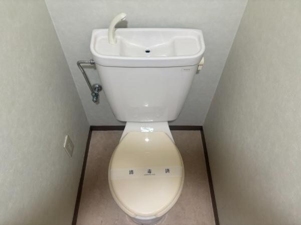 ベイコートNo.1