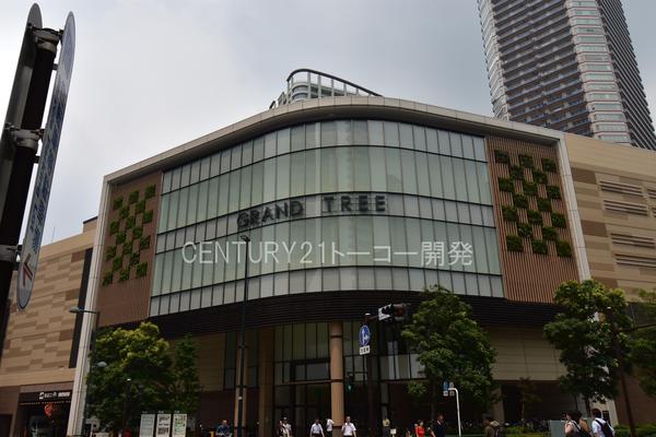 川崎市中原区新丸子東3丁目のマンション(GRANDTREE MUSASHIKOSUGI)