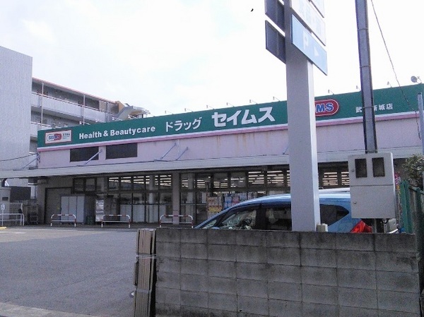川崎市高津区千年新町のアパート(ドラッグセイムス武蔵新城店)