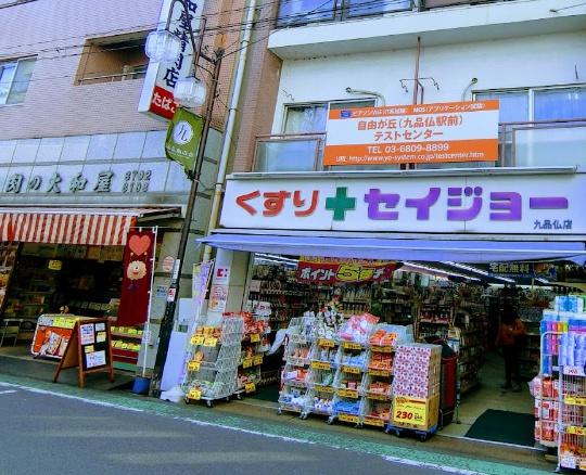 ヴィラ田園(くすりセイジョー九品仏店)