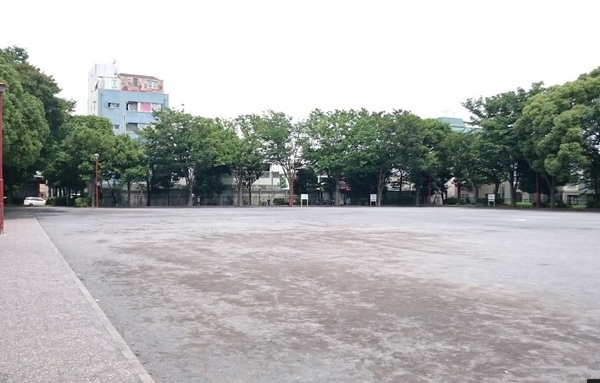 川崎市高津区明津のマンション(橘公園)