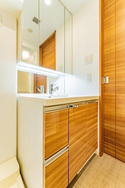 大田区下丸子２丁目のマンション