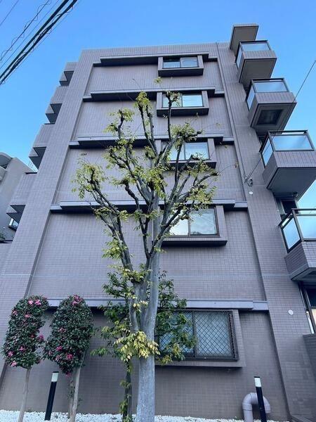 川崎市中原区下沼部のマンション